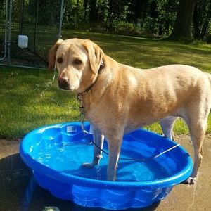 Meet your Posher, Cassandra